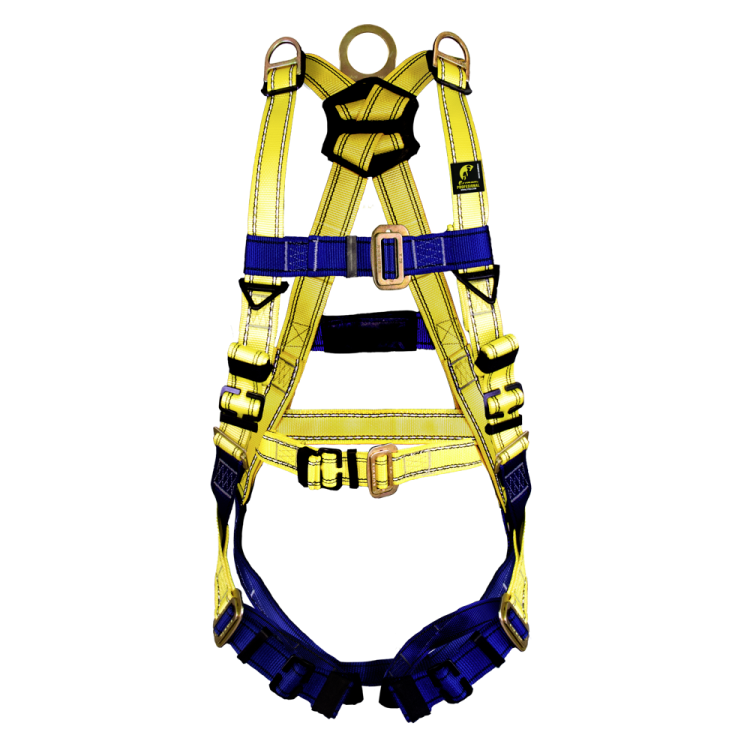 SS-10ACHD